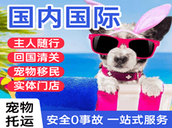 重庆机场物流国际宠物托运 【国